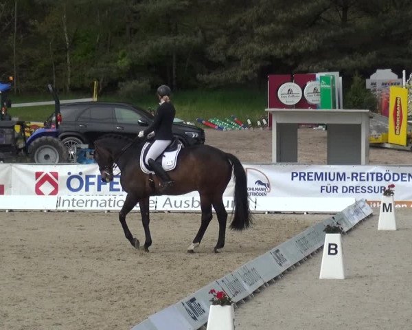 Reitturnier Rastede-Nethen 2021