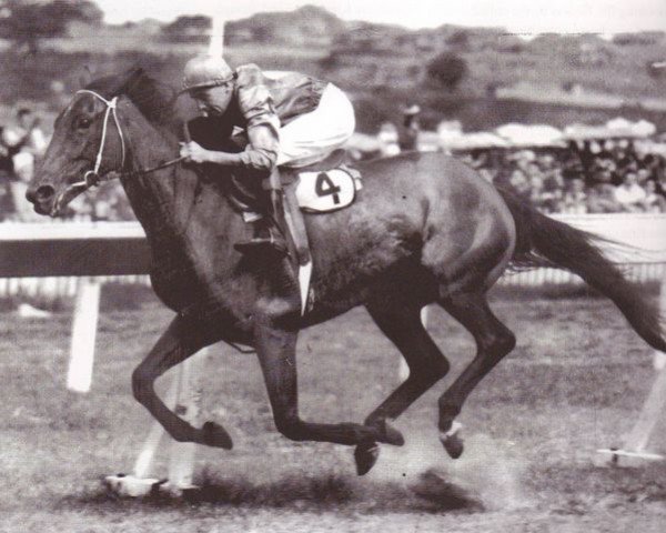 broodmare Flight xx (Thoroughbred, 1940, from Royal Step xx)