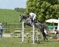 jumper Con Cheerio (Oldenburg, 2007, from Colman)