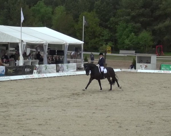 Reitturnier Rastede-Nethen 2021