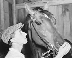 stallion Devil Diver xx (Thoroughbred, 1939, from St Germans xx)