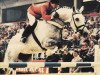 Pferd Sebastiaan (Koninklijk Warmbloed Paardenstamboek Nederland (KWPN), 1976, von Vesins xx)