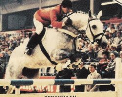 horse Sebastiaan (KWPN (Royal Dutch Sporthorse), 1976, from Vesins xx)