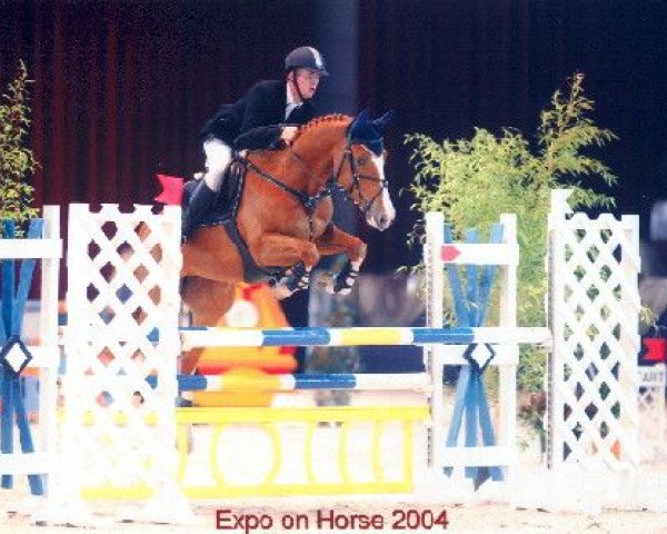 broodmare Porella (KWPN (Royal Dutch Sporthorse), 1997, from Andiamo)
