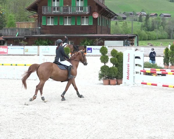 Reitturnier Schüpfheim 2021