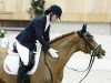 dressage horse Kingsley Ciske (KWPN (Royal Dutch Sporthorse), 2004, from Composer van de Beekerheide)