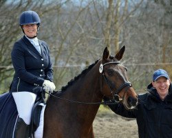 dressage horse Frida von Feuerstein (Hanoverian, 2010, from Fidertanz)