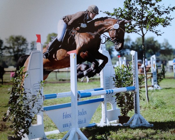 broodmare Pagode Roxy (Oldenburg show jumper, 2002, from Santander H)