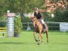 dressage horse Get Up Boy (German Riding Pony, 2001, from Gentleman)