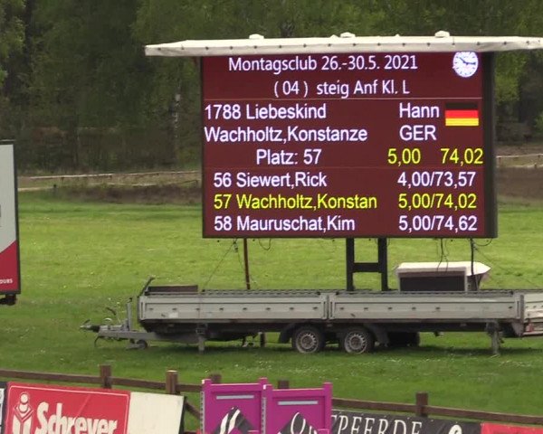 Reitturnier Westergellersen 2021