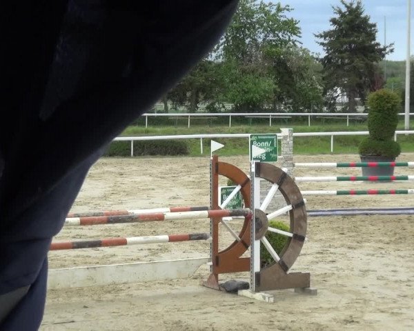 Reitturnier Bornheim-Widdig 2021