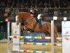 jumper Belinda 194 (Oldenburg show jumper, 2005, from Balougran)