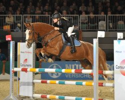 jumper Belinda 194 (Oldenburg show jumper, 2005, from Balougran)