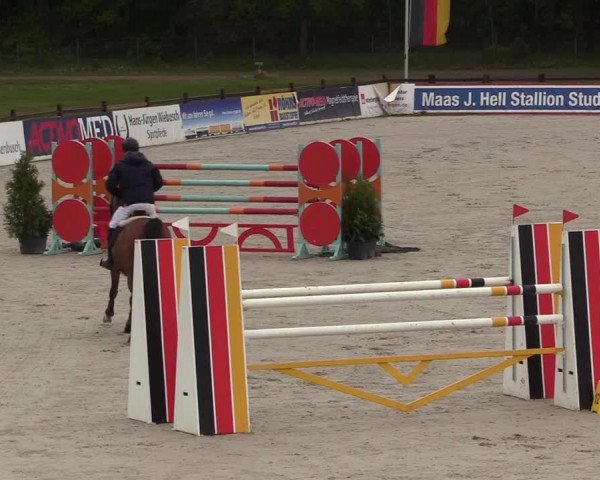 Reitturnier Westergellersen 2021