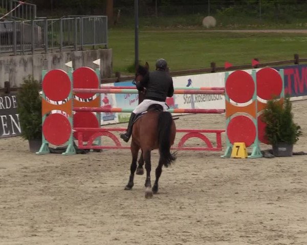 Reitturnier Westergellersen 2021