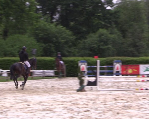Reitturnier Münster-Handorf 2021