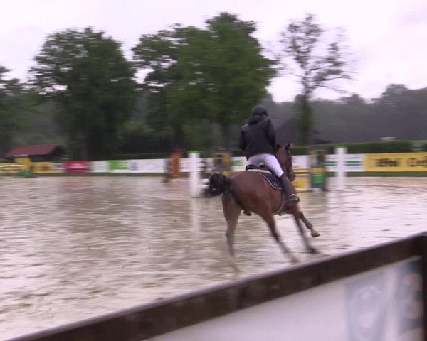 Reitturnier Münster-Handorf 2021
