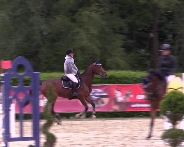 Reitturnier Münster-Handorf 2021
