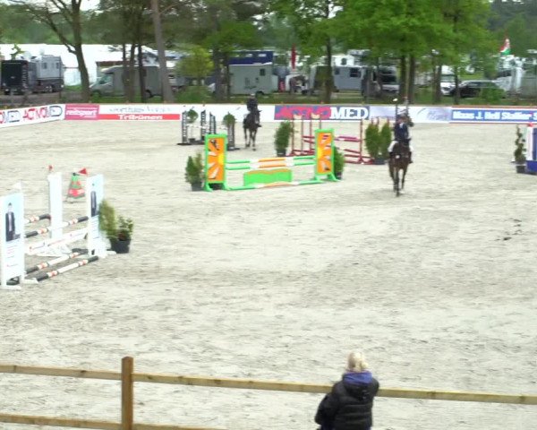Reitturnier Westergellersen 2021
