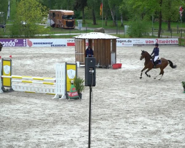 Reitturnier Westergellersen 2021
