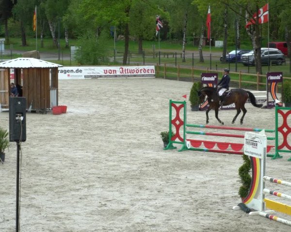 Reitturnier Westergellersen 2021