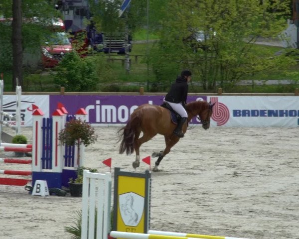 Reitturnier Westergellersen 2021