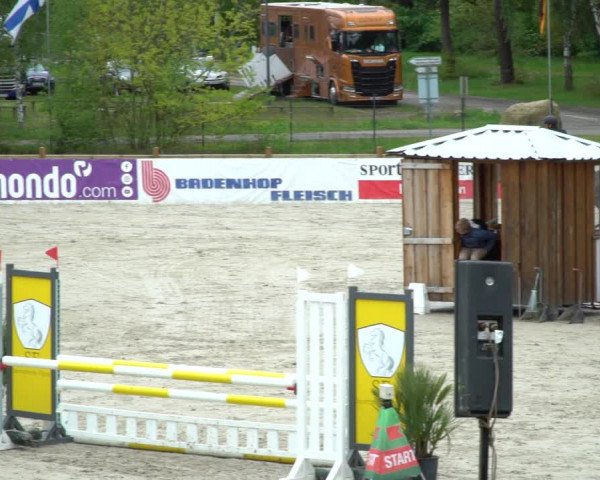 Reitturnier Westergellersen 2021