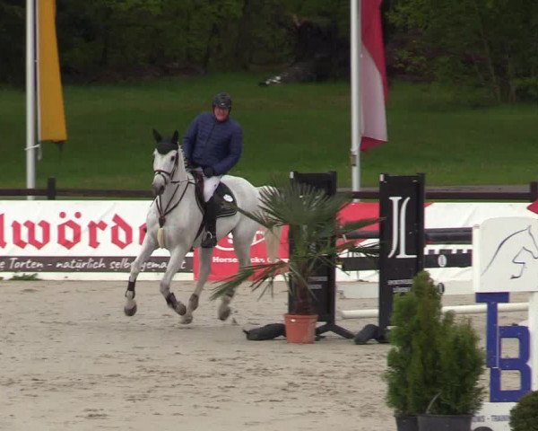 Reitturnier Westergellersen 2021