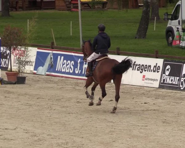 Reitturnier Westergellersen 2021