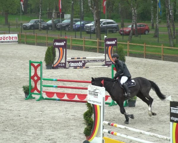 Reitturnier Westergellersen 2021