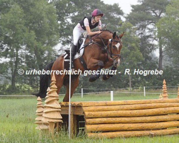 jumper Ruschmeyers Emil (Hanoverian, 2006, from Embassy I)