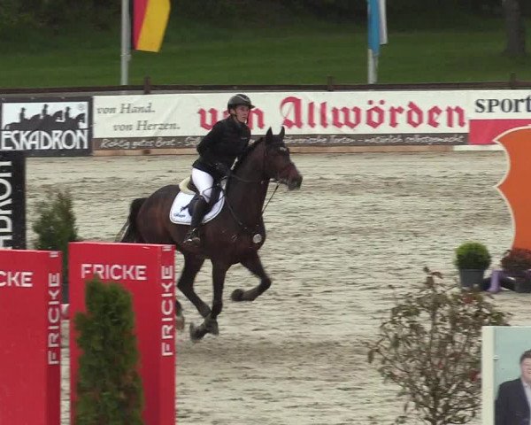 Reitturnier Westergellersen 2021