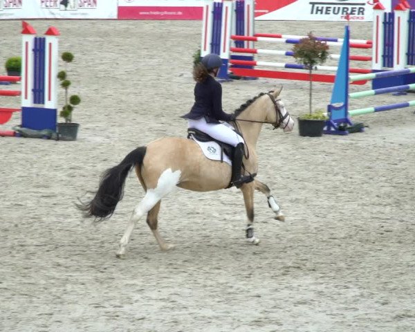 Reitturnier Westergellersen 2021