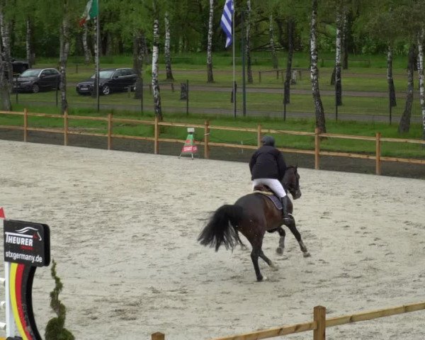 Reitturnier Westergellersen 2021