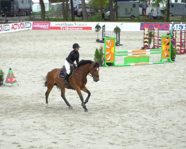 Reitturnier Westergellersen 2021