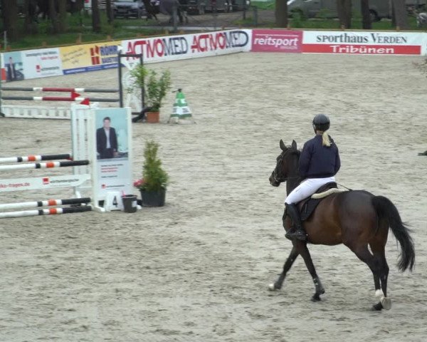 Reitturnier Westergellersen 2021