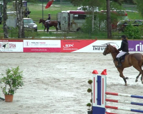 Reitturnier Westergellersen 2021
