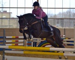 broodmare Mamba 14 (German Riding Pony, 2000, from Oosteinds Ricky)