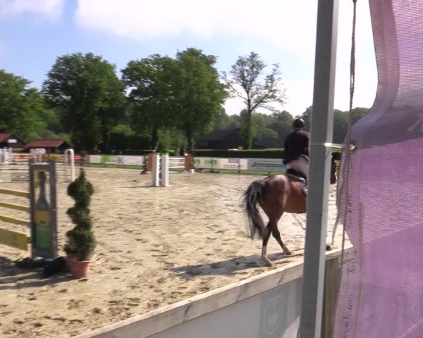 Reitturnier Münster-Handorf 2021