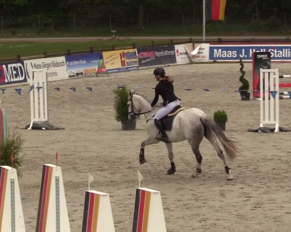 Reitturnier Westergellersen 2021
