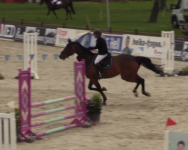 Reitturnier Westergellersen 2021