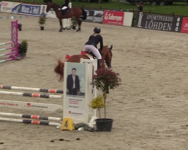 Reitturnier Westergellersen 2021