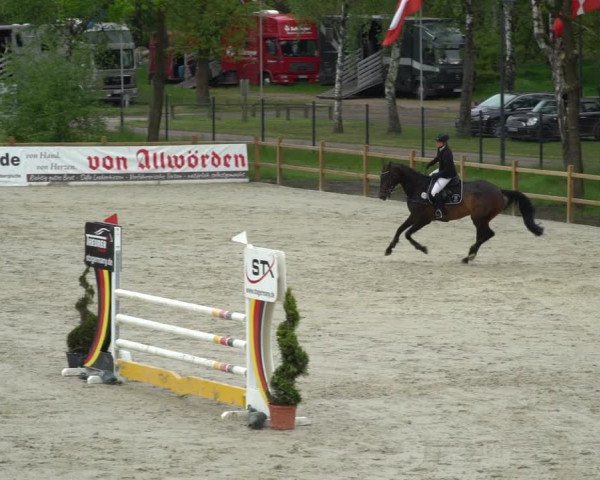 Reitturnier Westergellersen 2021