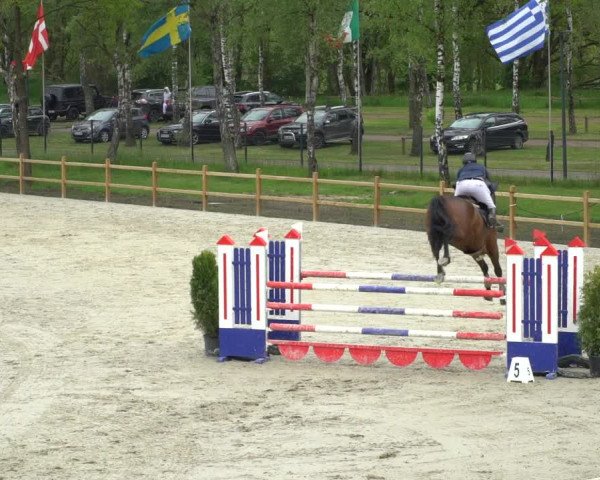 Reitturnier Westergellersen 2021