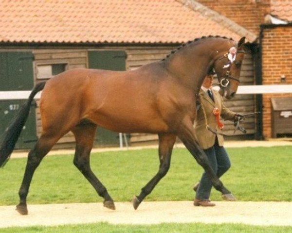 stallion Roviris xx (Thoroughbred, 1988, from Sir Ivor xx)