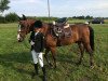 jumper Cerry 3 (German Riding Pony, 1994, from Cyros)