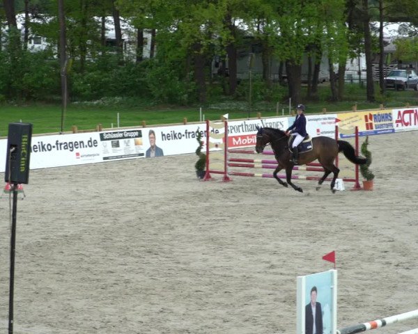 Reitturnier Westergellersen 2021