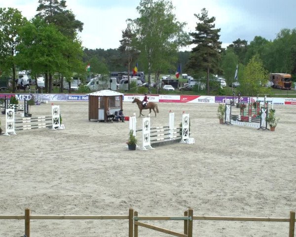 Reitturnier Westergellersen 2021