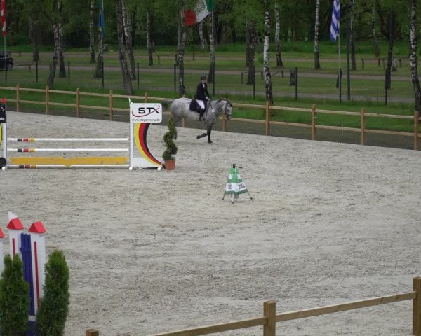Reitturnier Westergellersen 2021