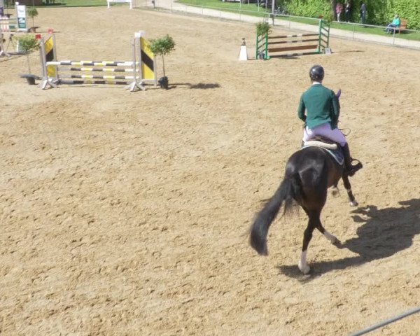 Reitturnier Zoltingen/Schw. 2021